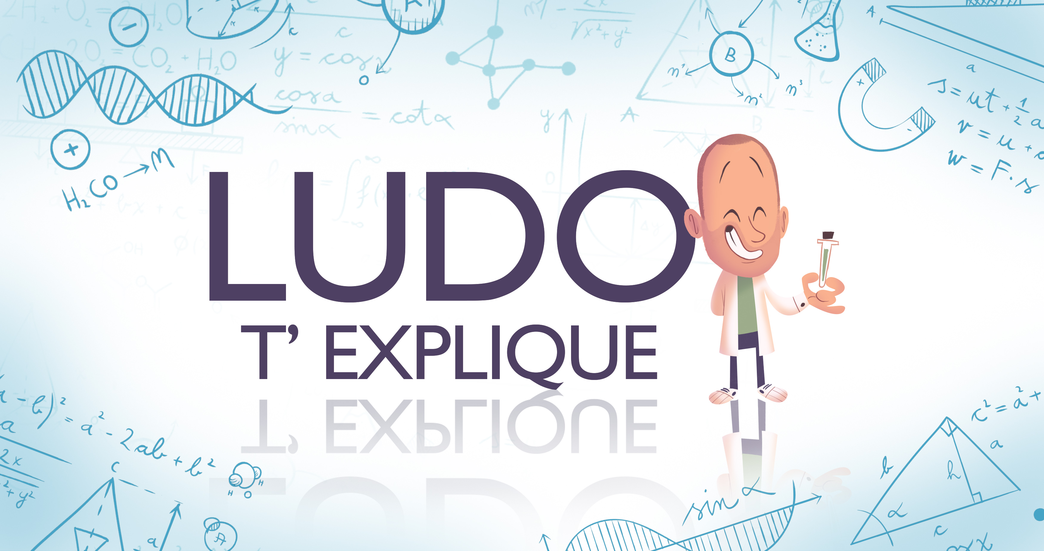 ludo banniere bis copie